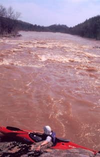 Bunny on Great Falls of the Catawba
