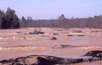 One of many Rapids