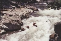 Narrows