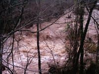 Madams at flood stage