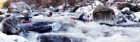 (RM) Chineese Arithmatic Iced Over