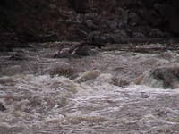 Lockwood Gorge: Last Stretch