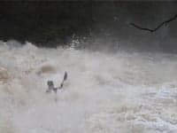 Basford Falls 3