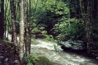 White's Run, Ledge Hole