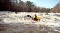 (RM) GA 36 Rapid Middle