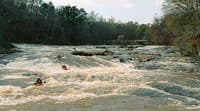 (RM) GA 36 Rapid Bottom