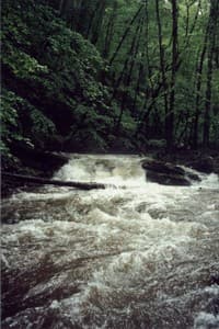 White's Run, another Ledge