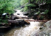 (RM) Portage