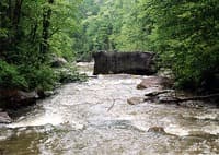 (RM) In The Gorge