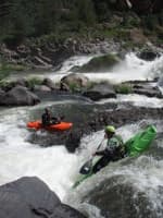 Fish Ladder Middle 