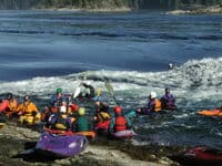 Gathering on the Rocks at Skook