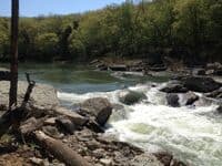 Wildcat at 786 CFS in Spring