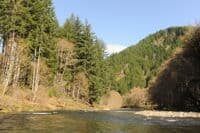 View of the Chehalis