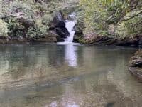 Poney Chute
