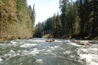 First Iron Creek Rapid