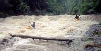 (RM) Third Rapid - Slide