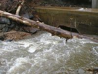 Mandatory Portage