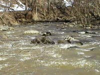 7th rapid of Difficult Run