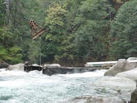 Bridge Drop debris removal