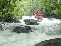 upper section Roaring Creek