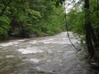 Mason Creek