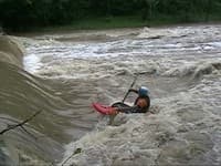 Timmy's going to surf