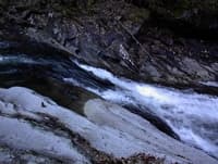 Chutes & Ladders