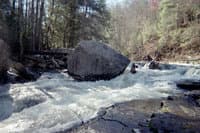 Piney River