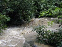 Putin rapid for Middle Creek, NC