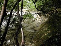 Second Drop - Middle Creek, NC