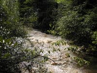 Fourth Drop? - Middle Creek, NC