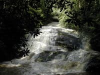 Looking upstream at First Big Falls - Middle Creek, NC