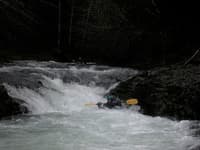 West Fork Chehalis