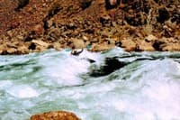 Hermit Rapid