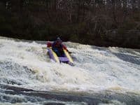 Shredder on Mossy Creek