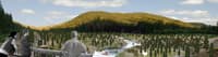 Millpond Dam Site 5 Years Following Dam Removal