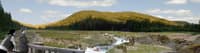 Millpond Dam Site 2 Years Following Dam Removal