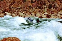 Hermit Rapid