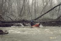 Strainer on Yellow Creek