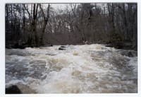 Entering Ring Rapid