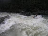 Rock Creek