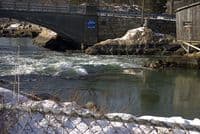 Cohasset 2 hours before a 9.8 high tide