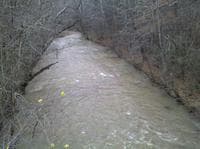 Coward Mill Falls