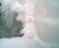 Root River Ice (#8)