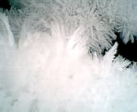 Root River Ice (#3)