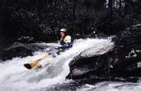 (RM) Island Rapid