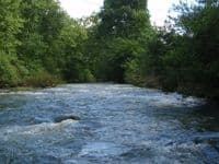 Little Walker, final mile, 1200cfs Bane