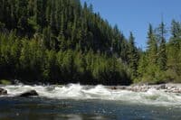 Fish Creek Rapid