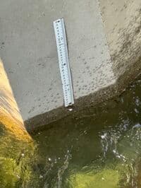 North Fork Salmon River Stick Gage