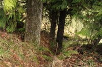 River Road Access Trail to Water